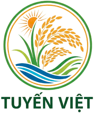 Tuyến Việt